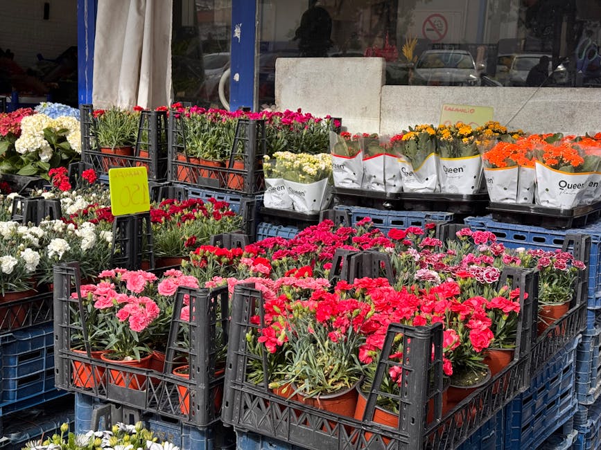 A display of various potted flowers arranged in black plastic crates outside a flower shop. The flowers include pink and red carnations, white, yellow, and orange flowers in white wrapping paper, with