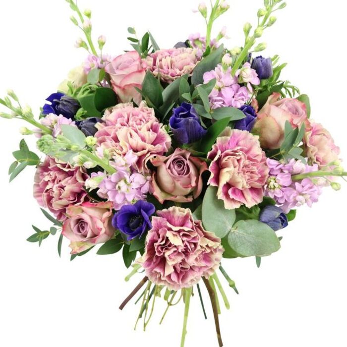 A richly textured, hand-tied bouquet is displayed against a clean white background, the kind of elegant arrangement you might see carried along Harlesden's tree-lined streets on the way to a celebration. At its core, large garden roses in shades of dusty rose, soft blush, and muted mauve open in layered spirals, their velvety petals overlapping to create a gentle, romantic focal point. Around them, plentiful carnations form a luxurious collar of ruffles; their petals shift from creamy beige at the base to rosy pink and deeper plum at the frilled edges, adding both volume and a sense of movement. Scattered amid these warm tones are striking notes of cool colour: deep indigo and royal blue blossoms, some appearing as smooth, tulip-like buds and others open like classic anemones, one in particular showing off a dark, almost black centre that anchors the lower portion of the bouquet. Slender stems of pale lavender and lilac stock reach upward between the larger blooms, each stem lined with small, closely packed flowers that lend an airy, vertical rhythm reminiscent of cottage-garden borders. Framing the flowers is an abundance of foliage-silvery round eucalyptus leaves mixed with darker, glossy greens-that provides contrast, structure, and the suggestion of a fresh, herbaceous scent. The stems are carefully gathered and tied, visible at the base in a neat fan, emphasising the bouquet's freshly cut character and skilled craftsmanship. With its balanced palette of pinks, purples, blues, and greens, this design feels both luxurious and soothing, perfectly suited to anniversaries, special birthdays, or simply brightening a home near Roundwood Park or Stonebridge with a touch of refined floral artistry.
