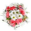 Vivid, uplifting, and thoughtfully composed, this spring-inspired bouquet is a true homage to Harlesden's neighbourhood warmth. At its cheerful core, pristine white daisies beam amidst ruffled coral-pink carnations-their layered petals creating depth, softness, and a playful texture. Wisps of white gypsophila dance among the blossoms, like tiny stars sprinkling the bouquet with lightness and charm. Subtle buds of alstroemeria, tinged with gentle pink and purple, promise the unfolding of even more beauty in days to come. Eucalyptus leaves, bluish-green and silvery, offer both a fresh scent and a serene backdrop that sets off the more vivid tones. The harmonious round composition feels both tranquil and exuberant, perfect for enlivening a Harlesden home-be it for a spring birthday, an anniversary, or simply to brighten someone's day. This arrangement speaks of attentive craftsmanship and devotion, reminiscent of strolls through local markets or shared celebrations along Harrow Road, ready for delivery across NW10 to mark life's happiest moments.